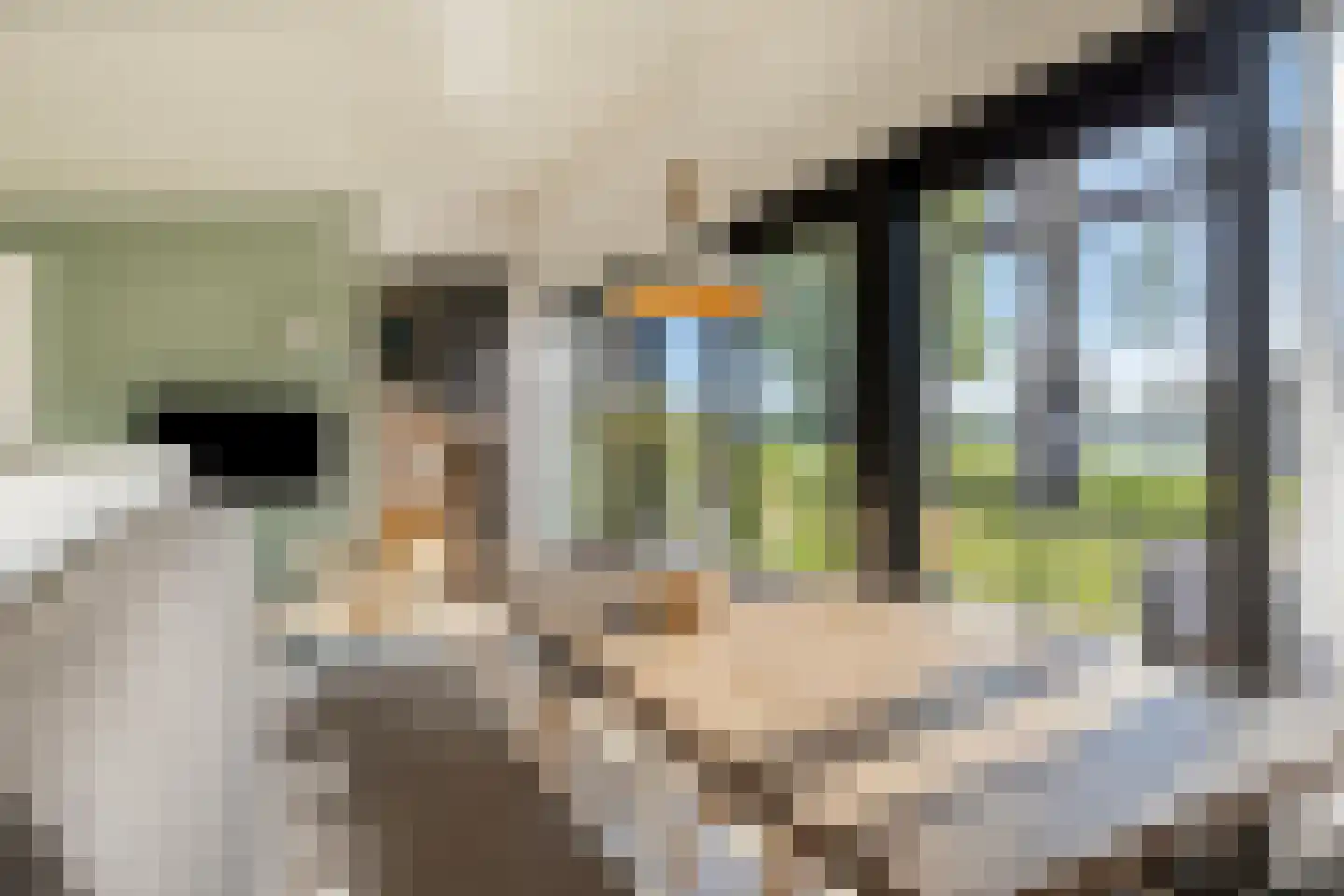 Buitengronden 7 015 Zwartewaal thumbnail 9