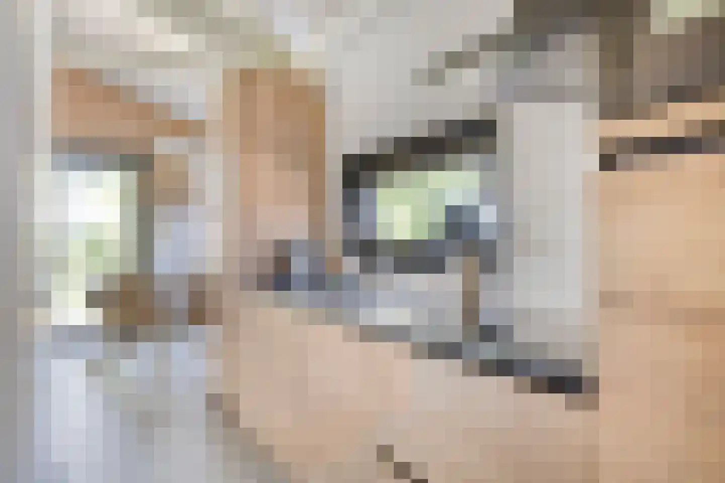 Buitengronden 7 101 Zwartewaal thumbnail 9
