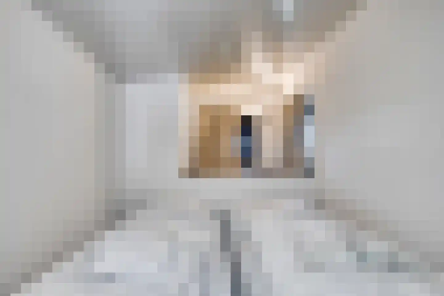 Buitengronden 7 116 Zwartewaal thumbnail 13