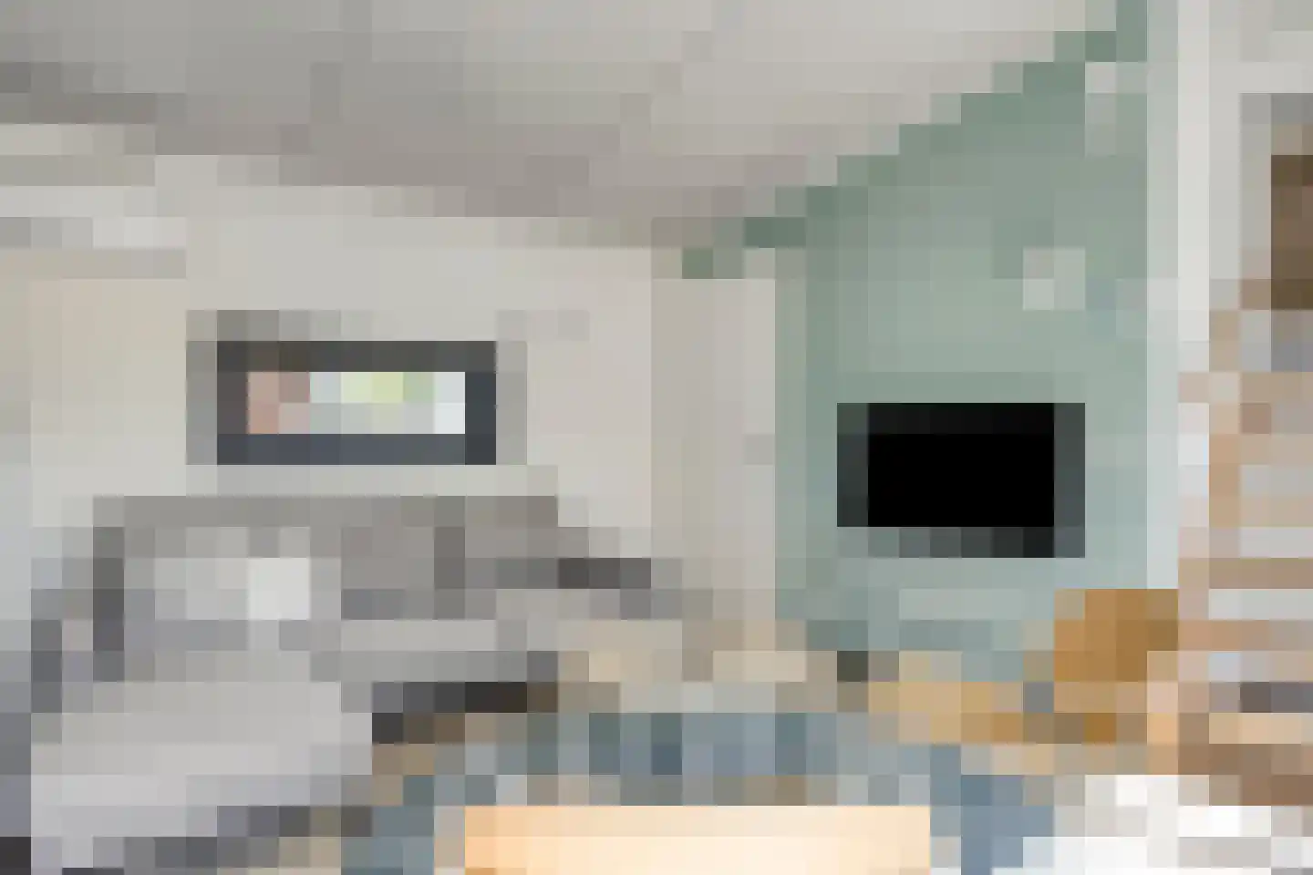 Buitengronden 7 116 Zwartewaal thumbnail 6