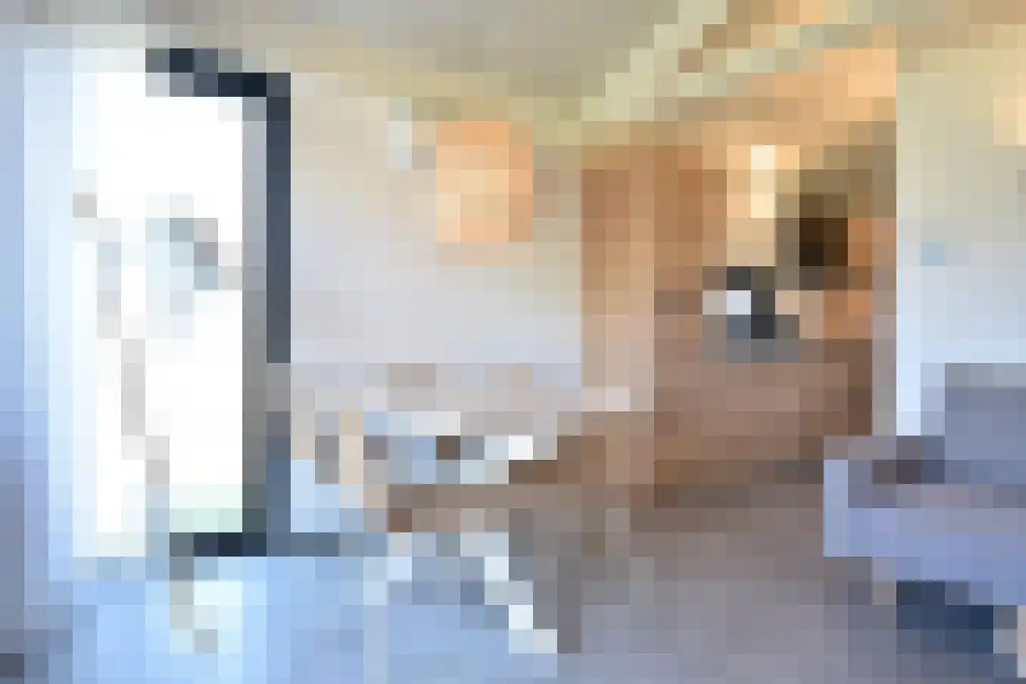 Buitengronden 7 118 Zwartewaal thumbnail 10