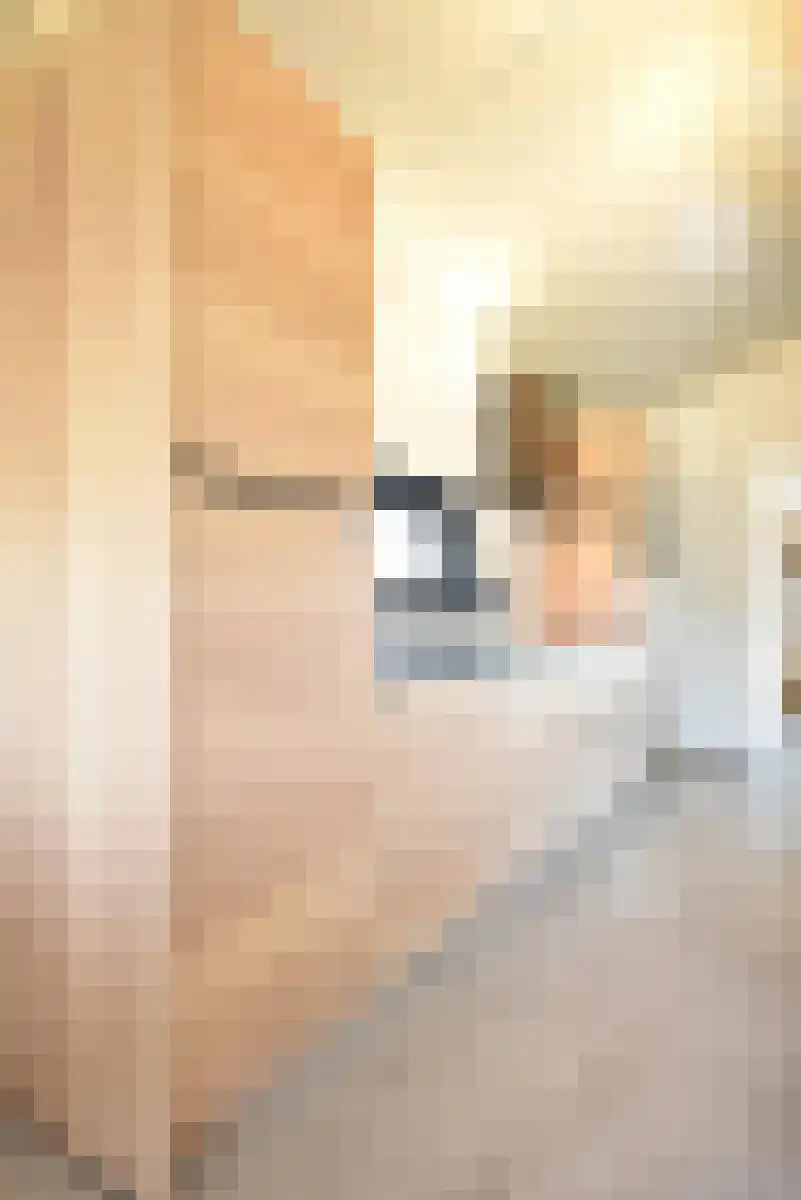 Buitengronden 7 118 Zwartewaal thumbnail 14