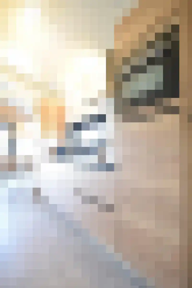 Buitengronden 7 118 Zwartewaal thumbnail 15