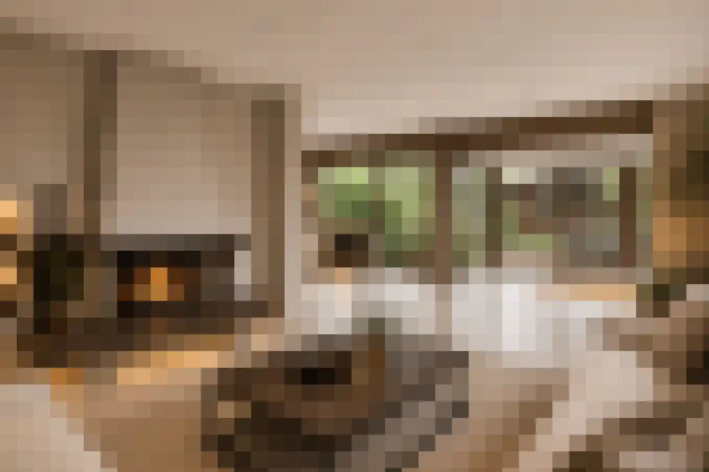 Buitenhagen 6 Goor thumbnail 12