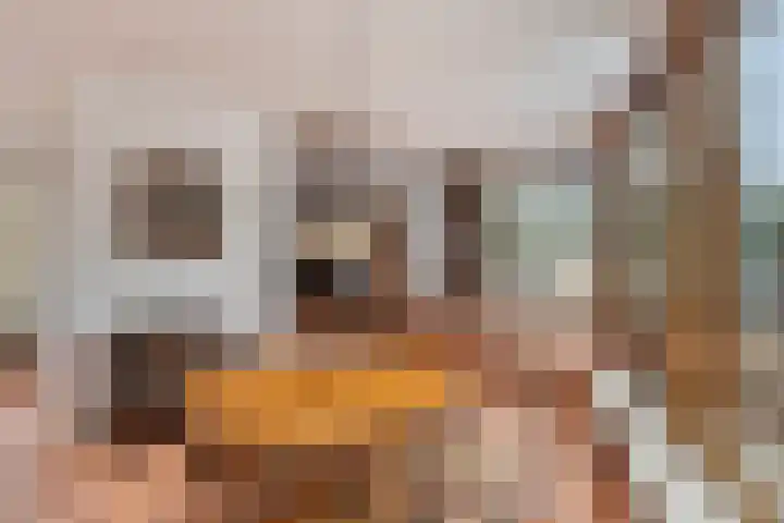 Buitenhagen 6 Goor thumbnail 13