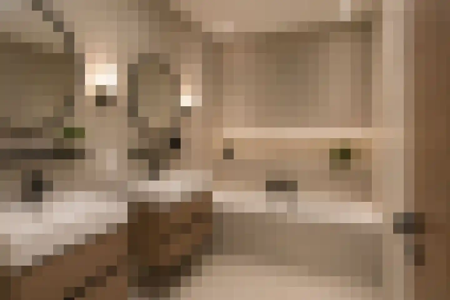 Buitenhagen 6 Goor thumbnail 24