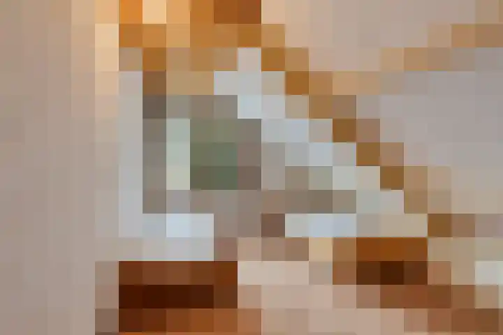 Buitenhagen 6 Goor thumbnail 30