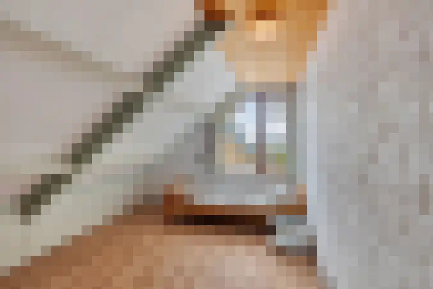 Buitenhagen 6 Goor thumbnail 34