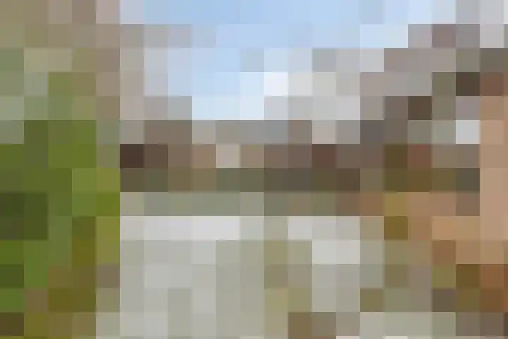 Buitenhagen 6 Goor thumbnail 35