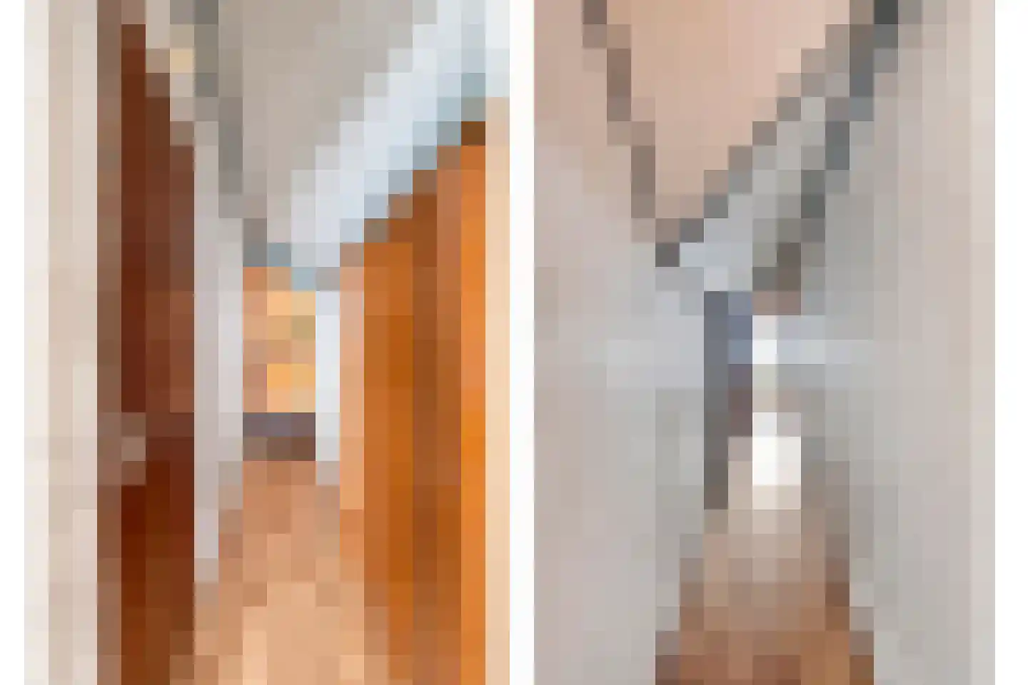 Buitenhagen 6 Goor thumbnail 36