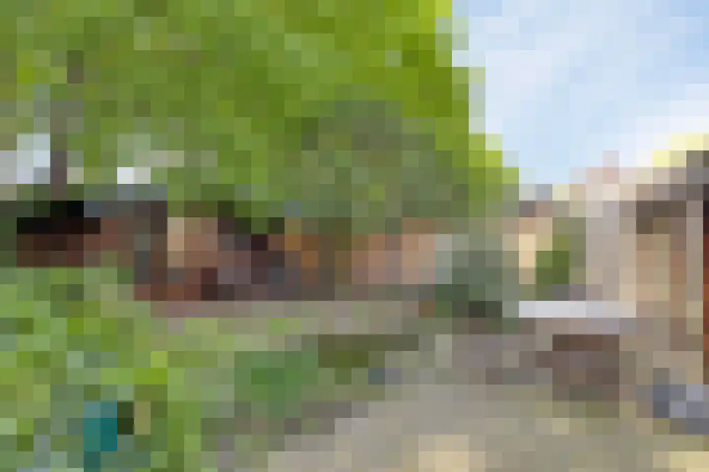 Buitenhagen 6 Goor thumbnail 39