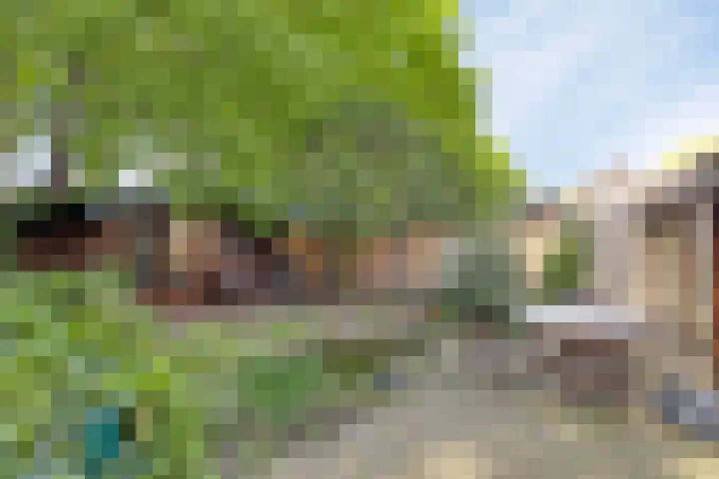 Buitenhagen 6 Goor thumbnail 4