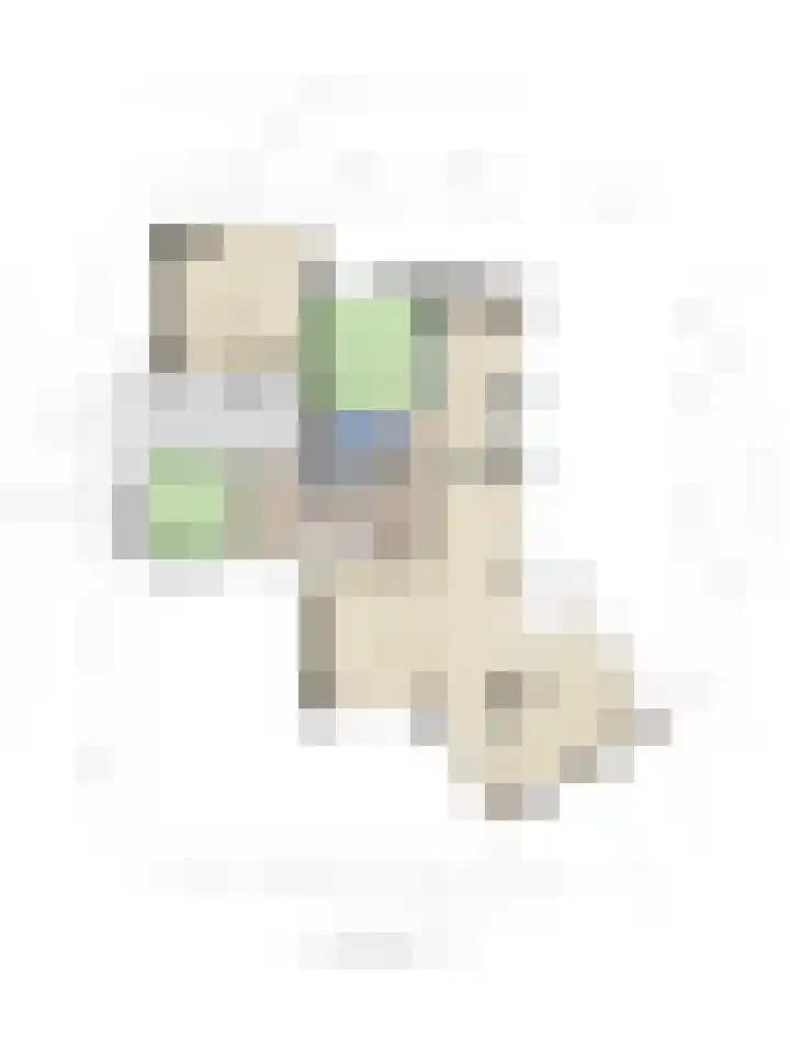 Buitenhagen 6 Goor thumbnail 40