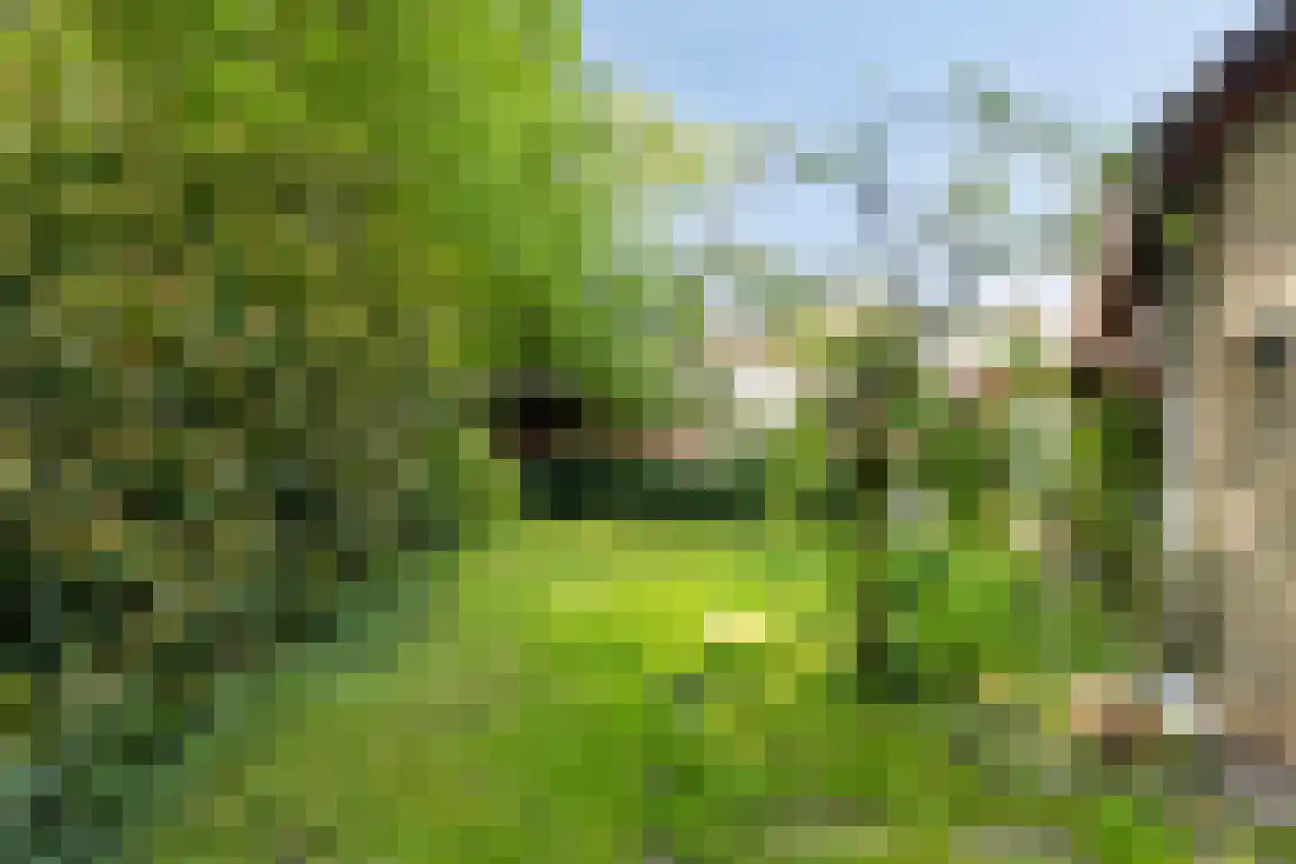 Buitenhagen 6 Goor thumbnail 47