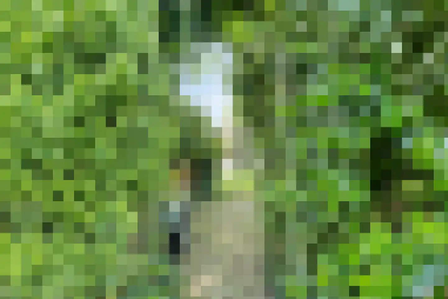 Buitenhagen 6 Goor thumbnail 48