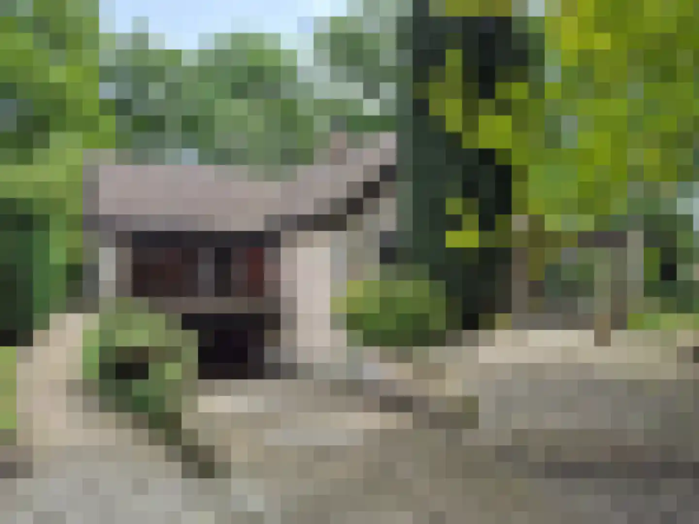 Buitenhagen 6 Goor thumbnail 8