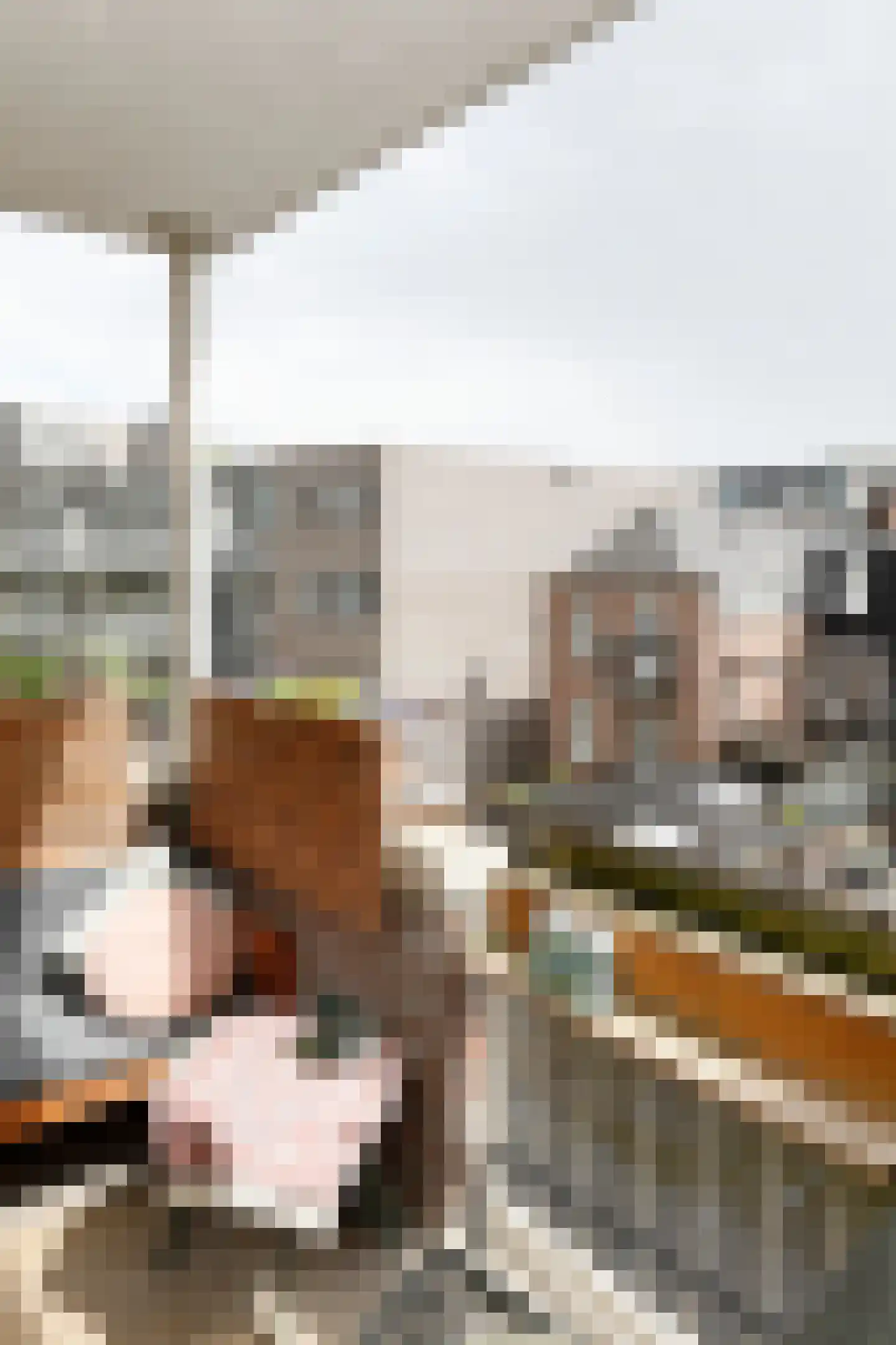 Buitenhaven 14 A 's-Hertogenbosch thumbnail 18