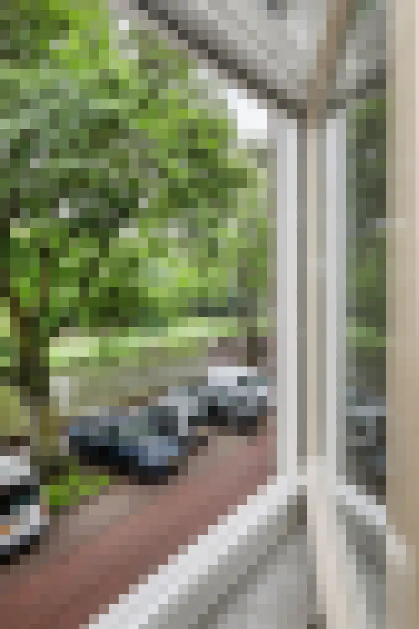 Buitenhaven 14 A 's-Hertogenbosch thumbnail 6