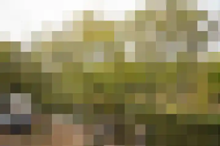 Buitenhaven 22 A 's-Hertogenbosch thumbnail 20