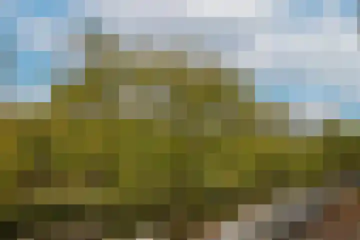 Buitenhaven 22 D 's-Hertogenbosch thumbnail 33