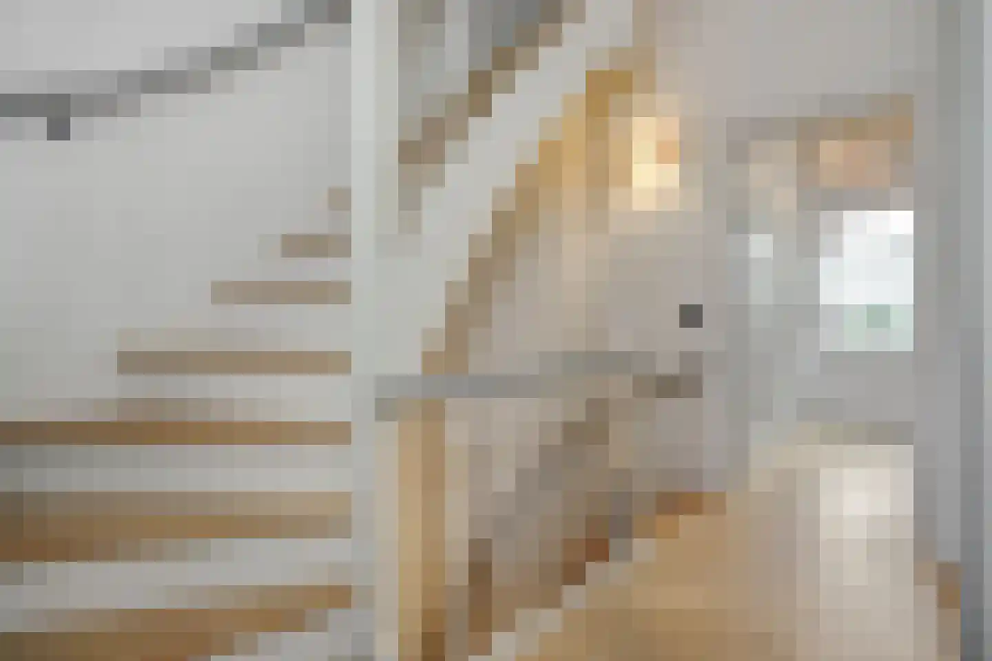 Buitenhaven 5 's-Hertogenbosch thumbnail 12