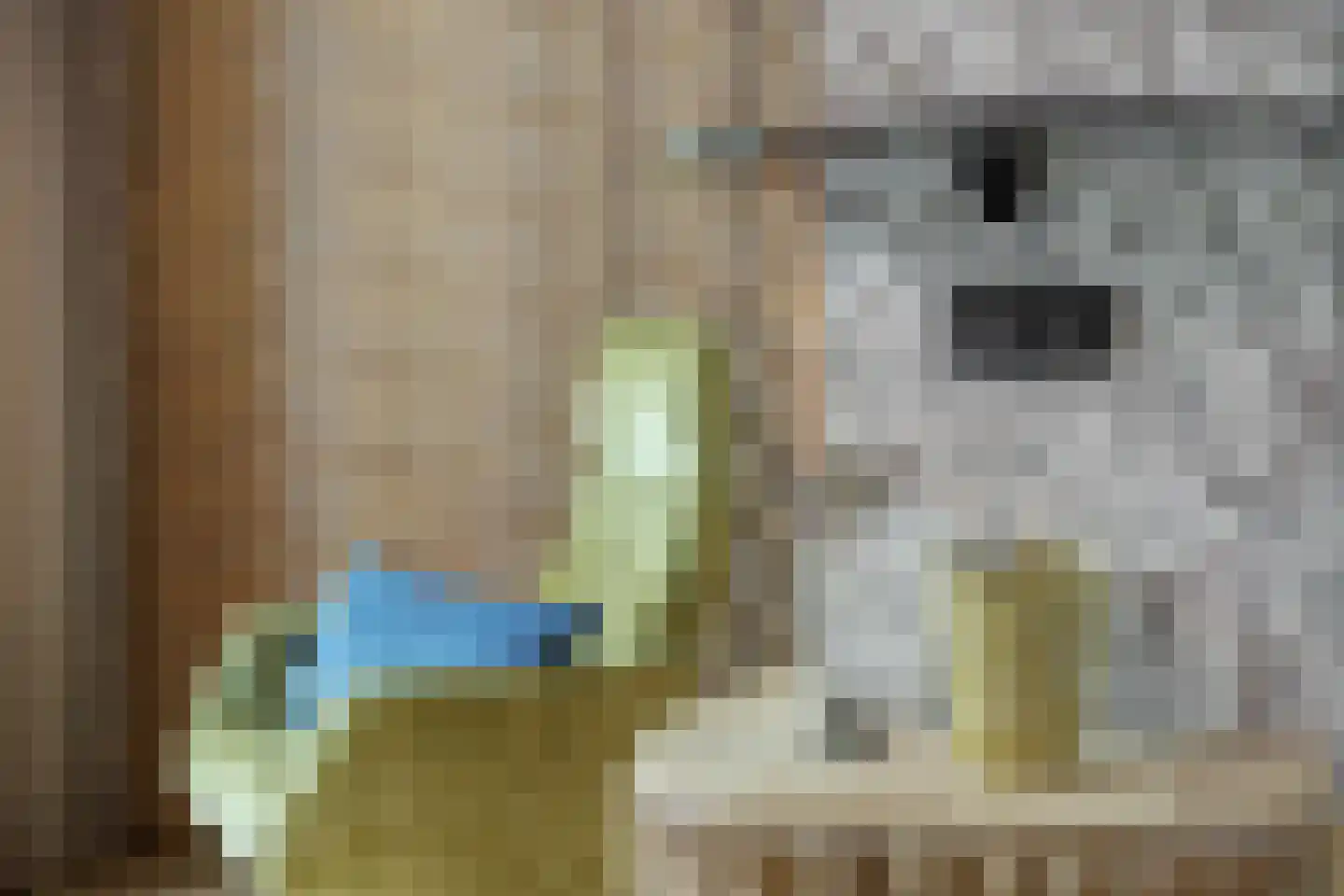 Buitenhaven 5 's-Hertogenbosch thumbnail 20