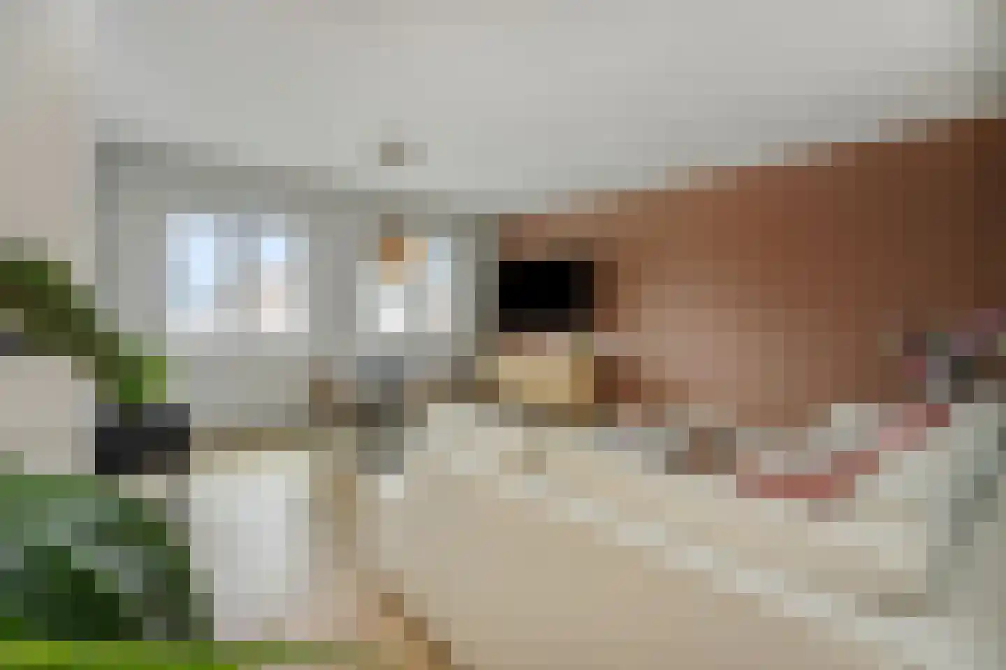 Buitenhaven 5 's-Hertogenbosch thumbnail 29