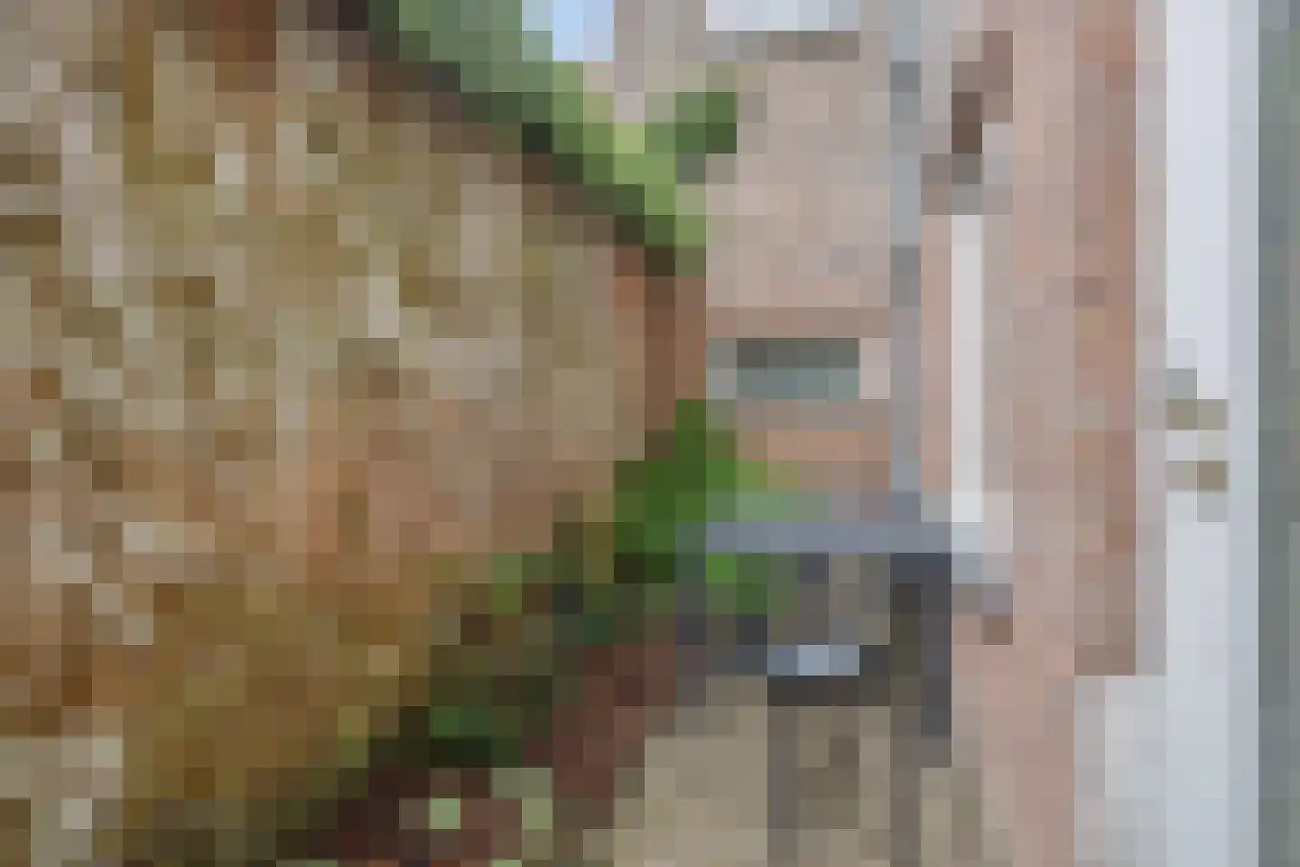 Buitenhaven 5 's-Hertogenbosch thumbnail 46