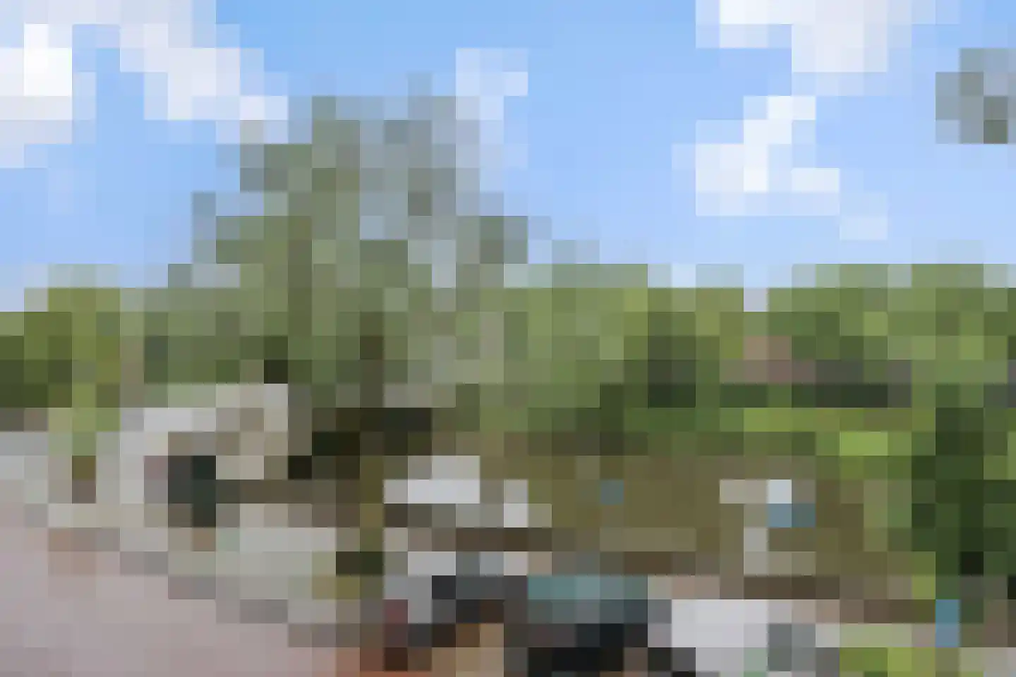 Buitenhaven 5 's-Hertogenbosch thumbnail 48