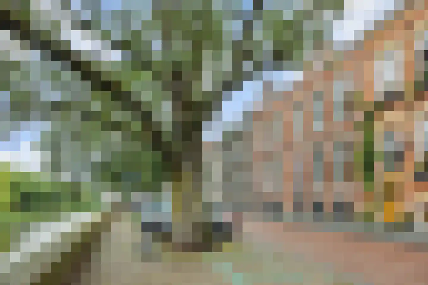 Buitenhaven 5 's-Hertogenbosch thumbnail 53