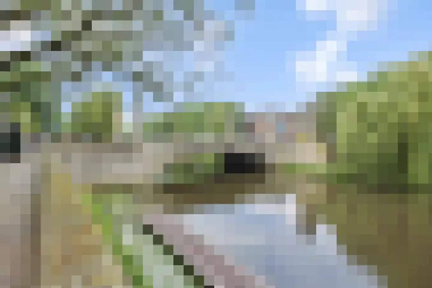 Buitenhaven 5 's-Hertogenbosch thumbnail 54