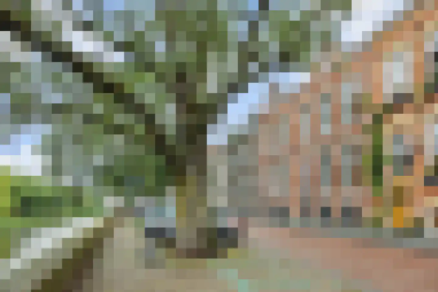 Buitenhaven 5 's-Hertogenbosch thumbnail 54