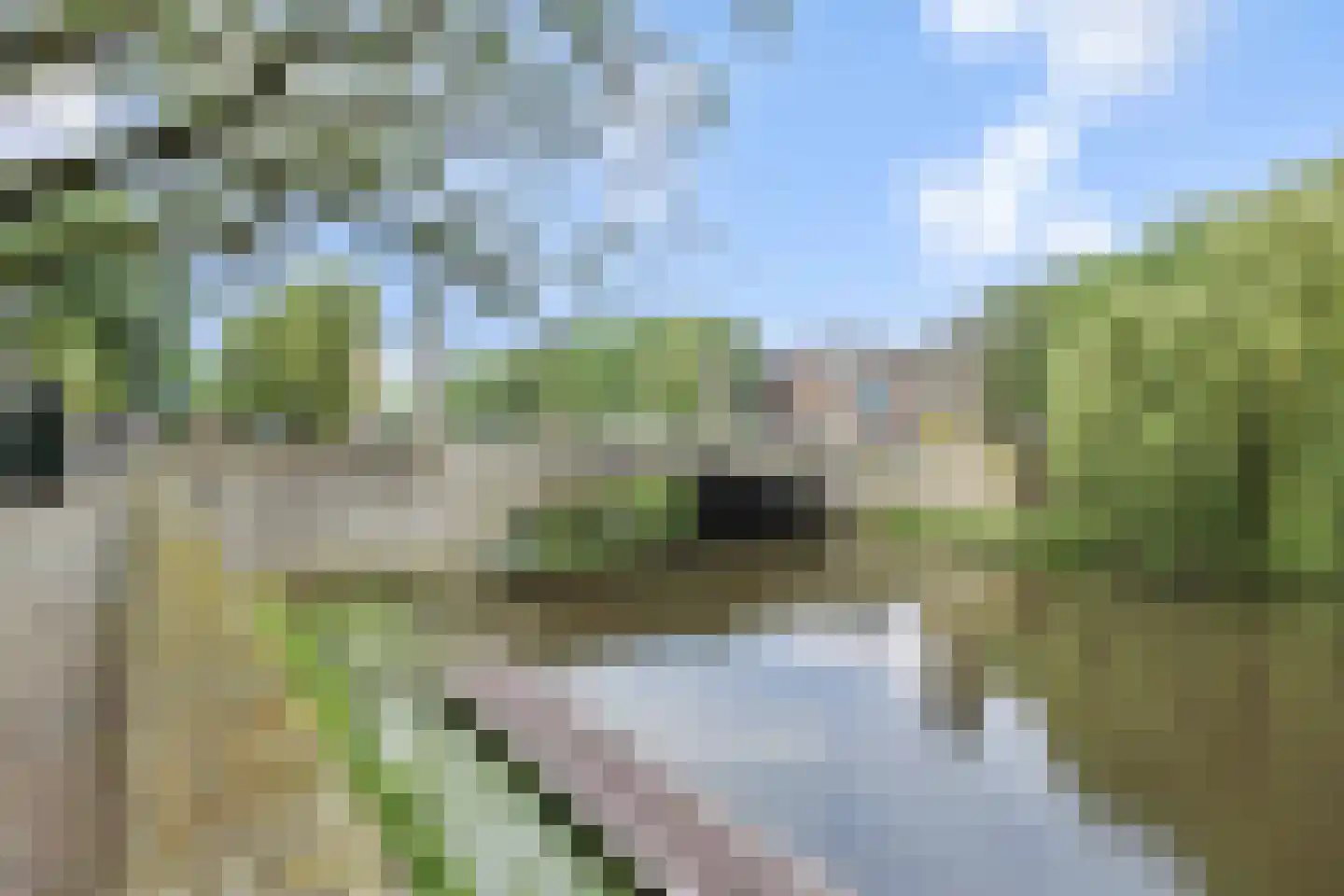 Buitenhaven 5 's-Hertogenbosch thumbnail 55