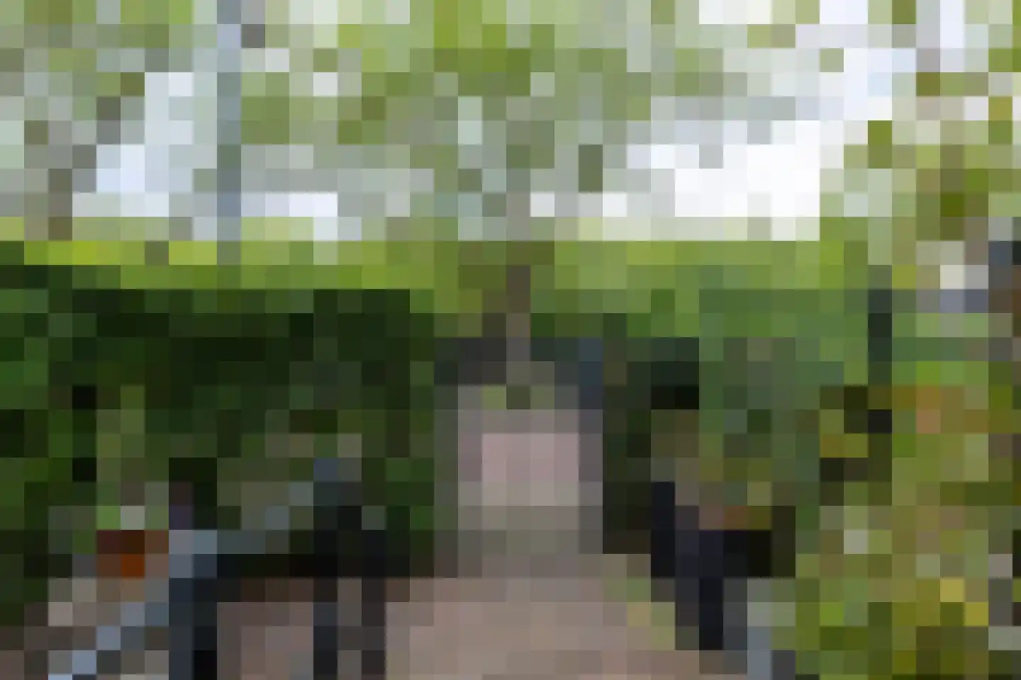 Buitenhaven 87 's-Hertogenbosch thumbnail 5