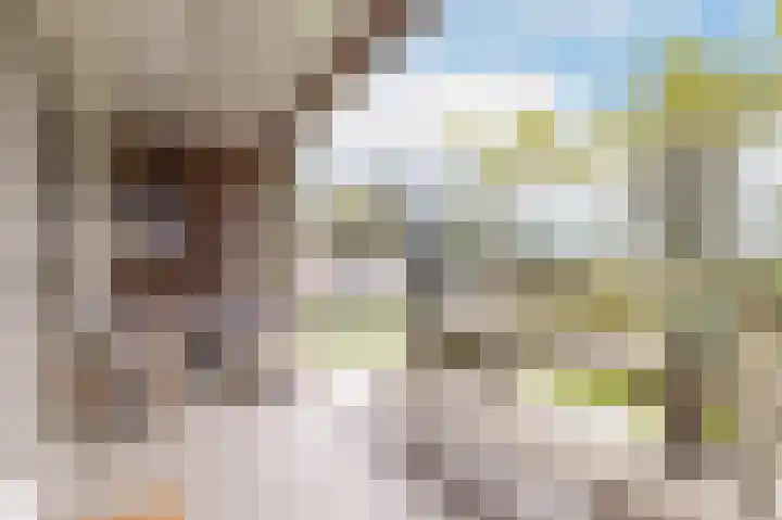 Buitenhoek 25 Kampen thumbnail 31