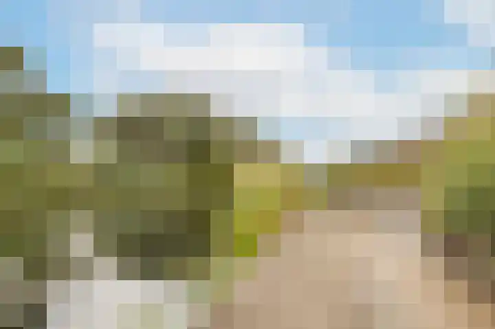 Buitenhoek 25 Kampen thumbnail 36
