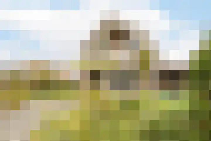 Buitenhoek 25 Kampen thumbnail 37