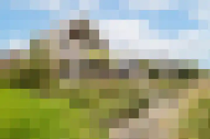 Buitenhoek 25 Kampen thumbnail 38