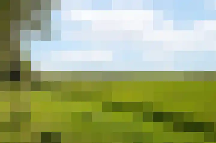 Buitenhoek 25 Kampen thumbnail 42