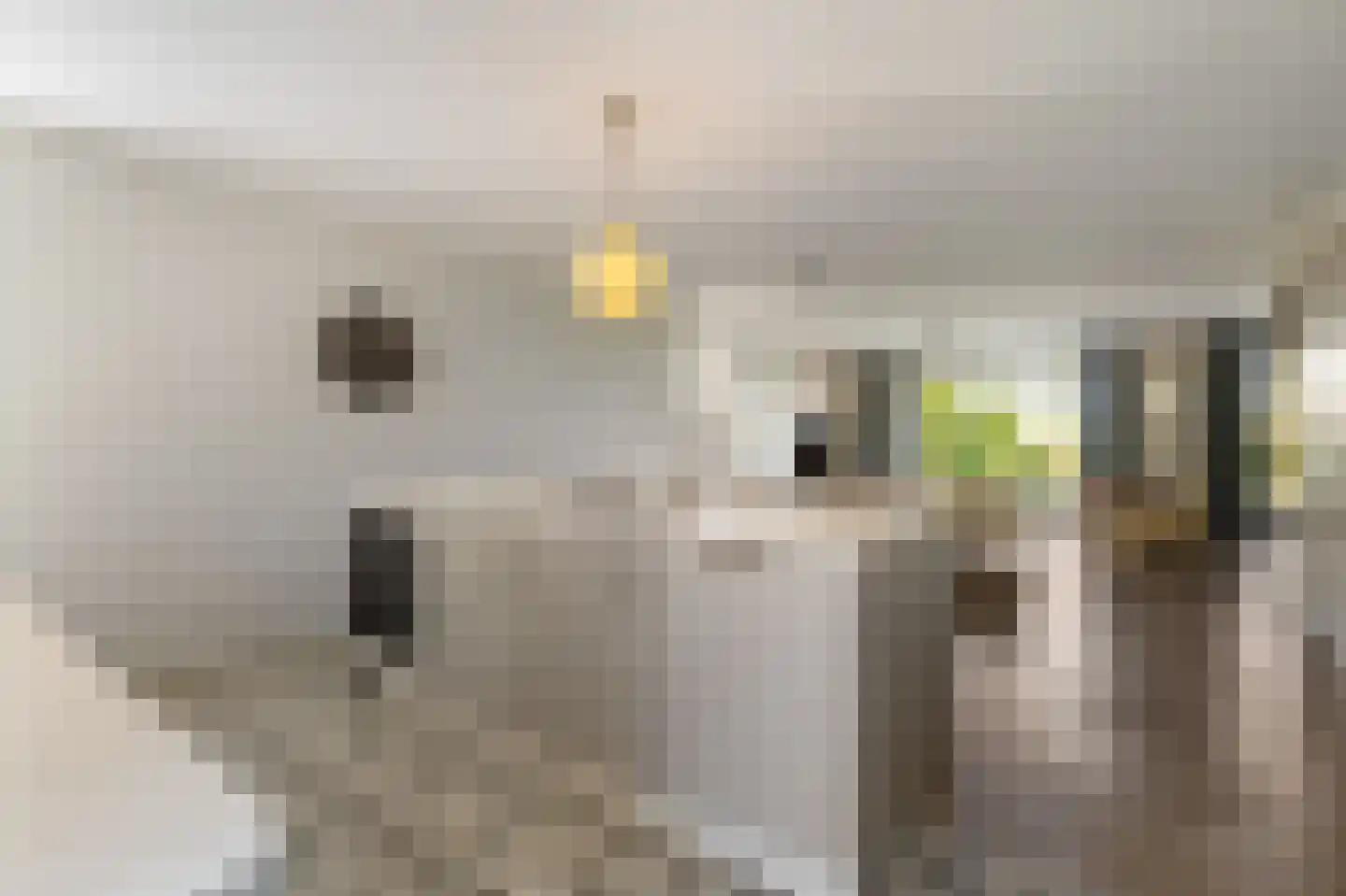 Buitenhoek 29 Kampen thumbnail 21