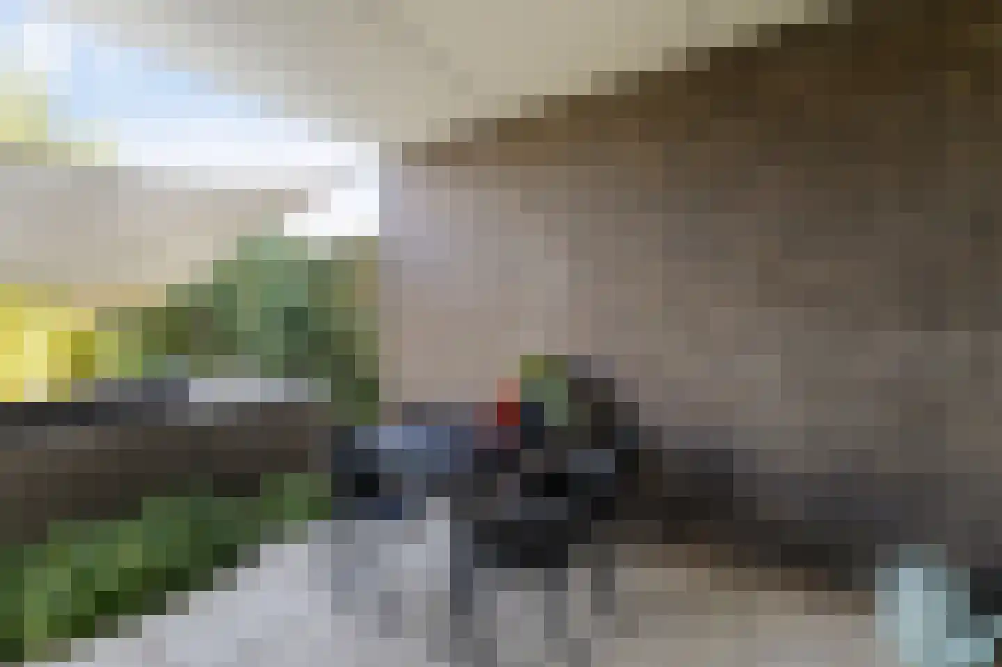 Buitenhoek 29 Kampen thumbnail 31