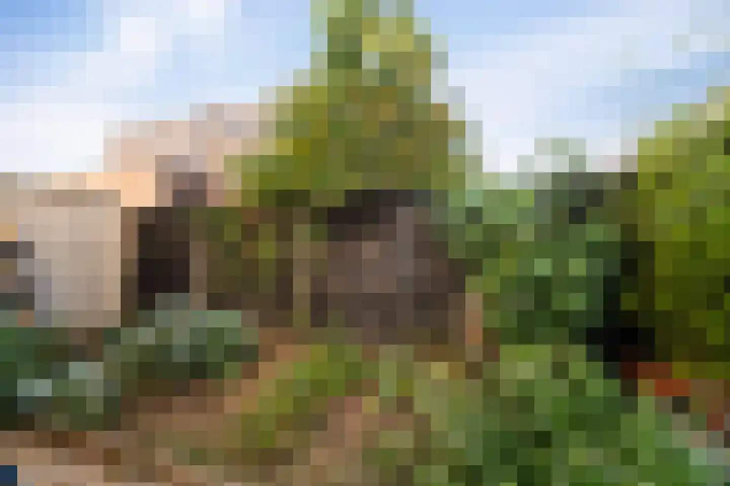 Buitenhoek 29 Kampen thumbnail 34