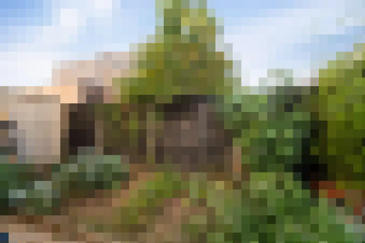 Buitenhoek 29 Kampen thumbnail 35