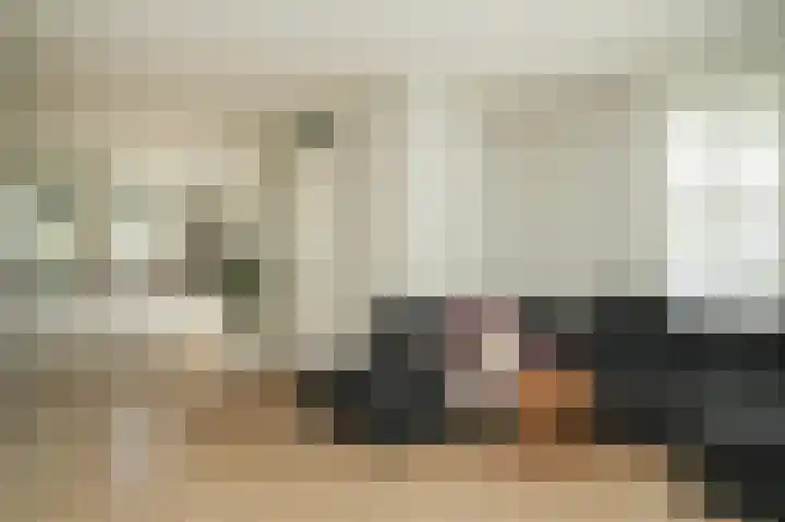 Buitenhof 1 Meteren thumbnail 12