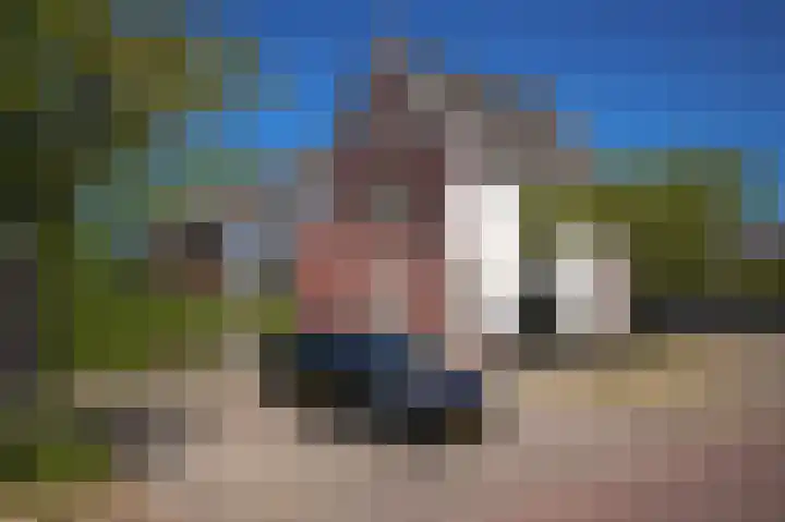 Buitenhof 1 Meteren thumbnail 31