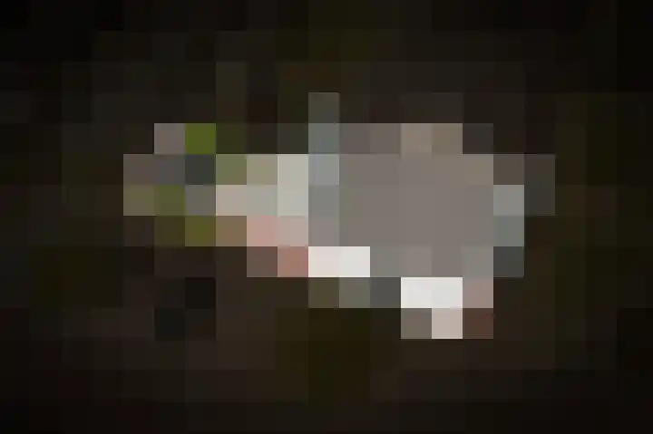 Buitenhof 1 Meteren thumbnail 33