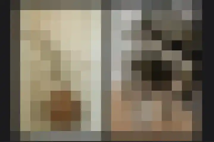 Buitenhof 1 Meteren thumbnail 8