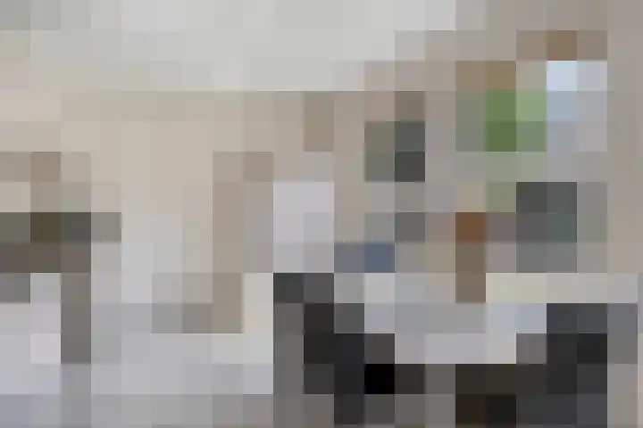 Buitenhof 10 Heeze thumbnail 11