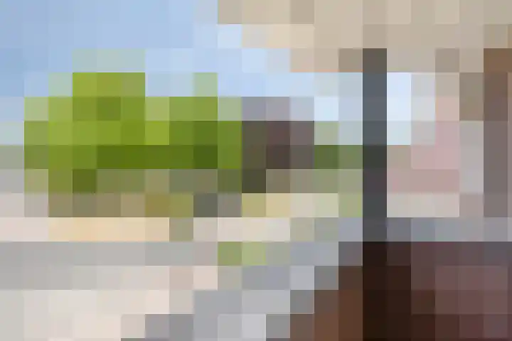Buitenhof 10 Heeze thumbnail 15