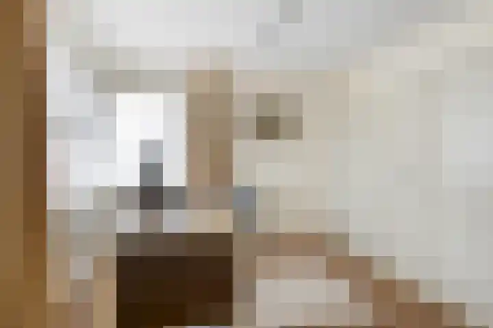 Buitenhof 10 Heeze thumbnail 18